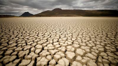 Despite climate stress, Africa is in 'unique' position to fight global warming