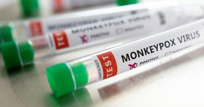 Monkeypox: What employers and staff need to know as cases rise