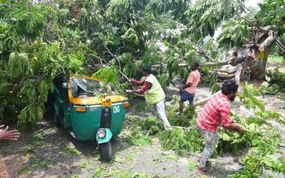 Rain lashes coastal mandals in Krishna, NTR districts