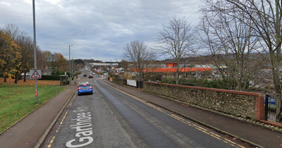 Rabbit ‘smashed to death with cinder block’ in on Scots road