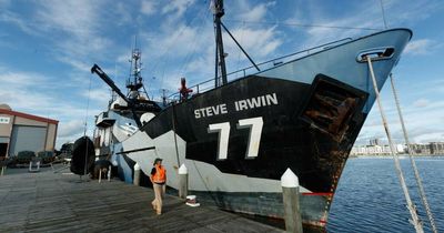 Events and escape rooms: 'Sea' history aboard a restored Shepherd flagship