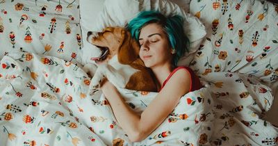 Owners warned not to share bed with their dogs due to 'untreatable superbug'