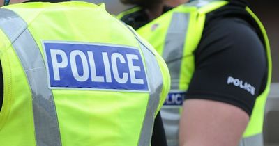 Renfrew man fined after baring teeth and kicking cop