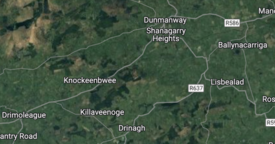 Gardai investigating 'all the circumstances' after man's body pulled from lake in Co Cork
