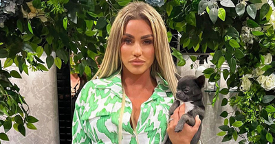 Petition for Katie Price to be banned from owning dogs reaches 20k signatures after she buys another pup