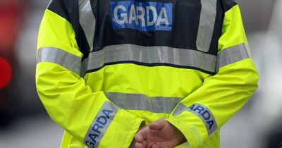 Gardai seize €140,000 worth of cocaine and arrest man, 30s, after vehicle search in Limerick