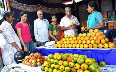 Mango Mela in Mysuru from May 27 to feature naturally ripened fruits