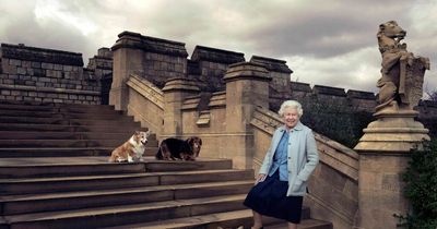 Corgi meet up at Balmoral Castle and Estate in celebration of Queen's Jubilee