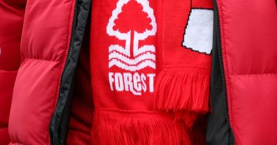 Nottingham Forest release special play-off merchandise range amid flags update