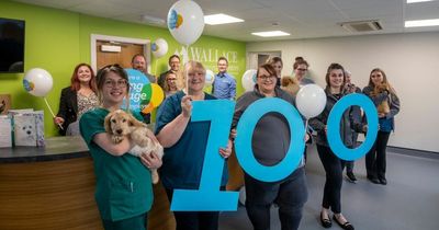 Dundee vet becomes 100th Living Wage employer in the city