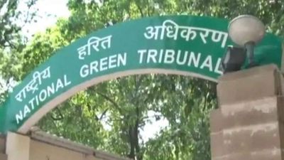 API residues causing pollution: NGT dismisses Centre's review application