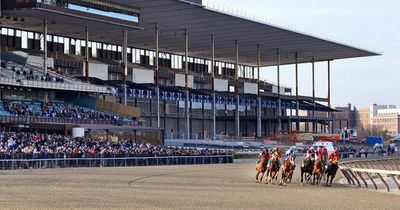 New York-bred mare that sold for £120,000 may actually be male, explosive lawsuit claims