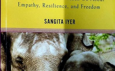 Book on plight of Kerala’s temple elephants hits the shelves