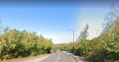 Banned driver tried to swap seats with passenger because she was 'having a panic attack'