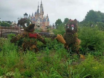 New Photos Show Shanghai Disneyland's Derelict State After 2 Months Of Closure