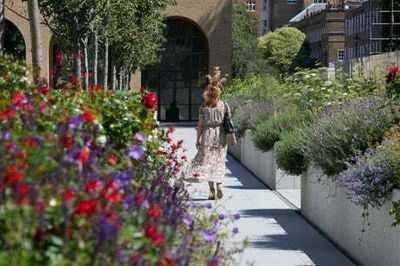 Miss out on Chelsea Flower Show tickets? Get your floral fix at fringe events across London