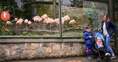 Edinburgh Zoo issues warning over 'disgraceful' visitors tampering with signs