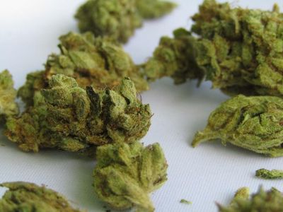 Cannabis Reg. Update: MN Approves Hemp-Derived THC For Adults, South Africa Marijuana Bill, Actions In LA, OH, GA