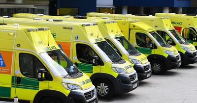 Health boss warns 'ambulance service will collapse by August' in England
