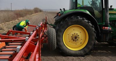 Food prices in UK set to rise again due to Russian blockade, says MoD