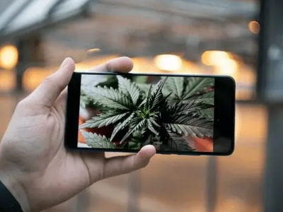 Marijuana Legalization And Marketing On Instagram Are Transforming Cannabis Culture To Become More Mainstream