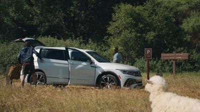 Volkswagen Tiguan Is The SUV Of Choice For ... Adventurous Sheep?