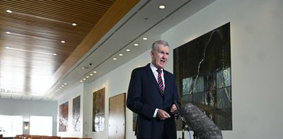 Tony Burke's double ministry of arts and industrial relations could be just what the arts sector needs