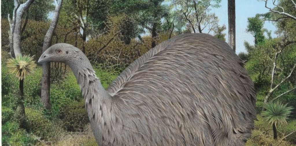 How did ancient moa survive the ice age – and what can…