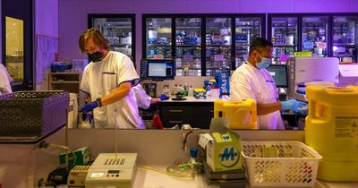 COVID hospitalisations decrease as fourth booster eligibility announced