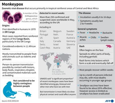 More than 200 cases of monkeypox worldwide: EU disease agency