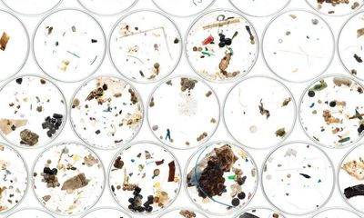 Microplastics in sewage: a toxic combination that is poisoning our land