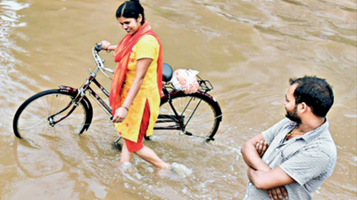 Punjab: Mohali municipal corporation to build causeway to drain rainwater in phases IV & V
