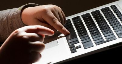 Primary school children to be taught about online dangers on new digital platform