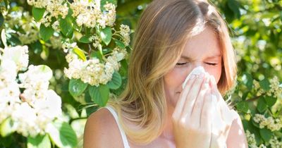 Expert gardener shares top tips to avoid hay fever this summer