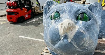 Huge cat arrives as part of major new science centre