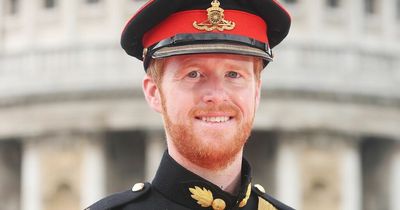Prince Harry lookalike who's fooled members of public to make £5,000 at Jubilee
