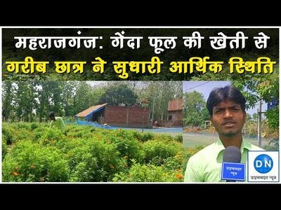 Maharajganj: Prosperity to a class 12th student by floriculture inspires many others