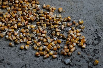 Kremlin says West is to blame Ukraine grain export problems