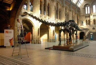 Dippy the dinosaur’s home (but not for long)