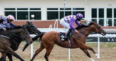 Two racehorses die after escaping from field in Dublin