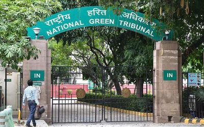 NGT fines Odisha ₹1 crore for undertaking guava plantation in land categorised as forestland