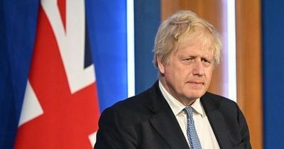 Standards chief 'absolutely certain' Boris Johnson will quit if found he misled Parliament