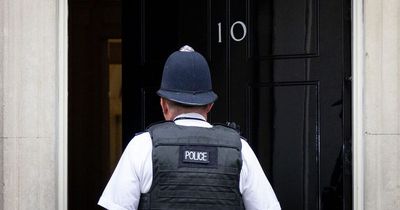 Senior No10 official saw parts of Sue Gray Partygate report before publication day