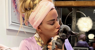 Petition to ban Katie Price from new dog ownership reaches 20,000 signatures