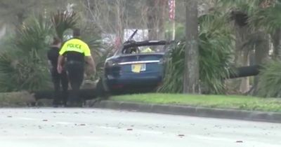 Dad burned to death inside crashed Tesla when door handles 'failed to pop out'