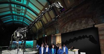 Jurassic giant Dippy the Dinosaur makes huge return to Natural History Museum