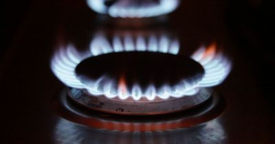 Yu Energy reports ‘significant revenue growth, at improved profit margins’