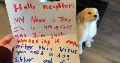 Boy, 10, sends neighbour adorable letter asking if he can walk their puppy