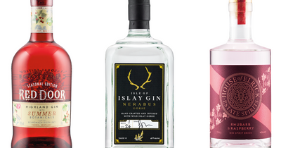 Festival of floral-inspired Scottish gins hits Lidl shelves this week with prices starting at £1.69