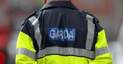 Gardai investigating shocking gang assault caught on video in Killarney